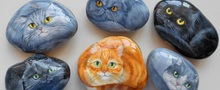 Мочекаменная болезнь у кошек