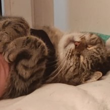 Наумова Ирина Александровна